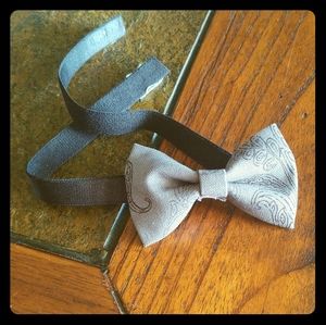 Dog or boy, young man bowtie bow tie